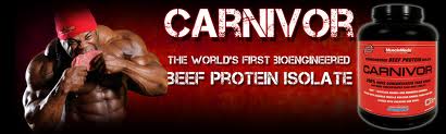 carnivor